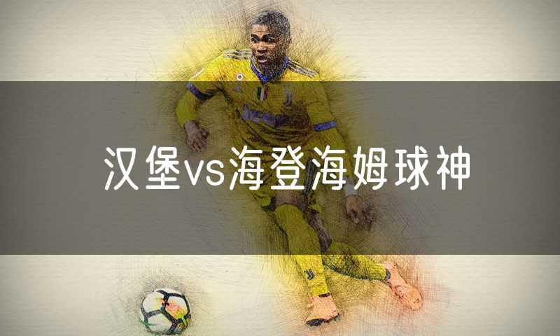 汉堡vs海登海姆球神
