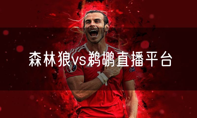 森林狼vs鹈鹕直播平台 森林狼vs鹈鹕直播平台