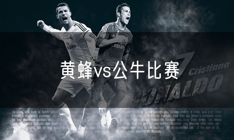 黄蜂vs公牛比赛 黄蜂vs公牛比赛