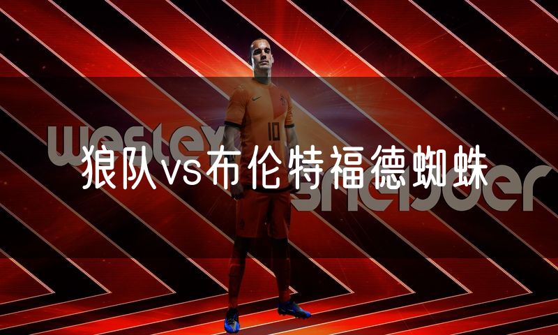 狼队vs布伦特福德蜘蛛