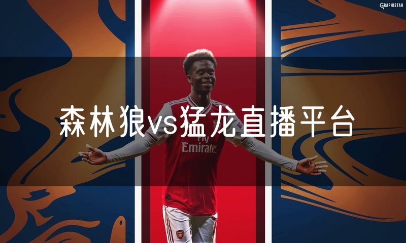 森林狼vs猛龙直播平台