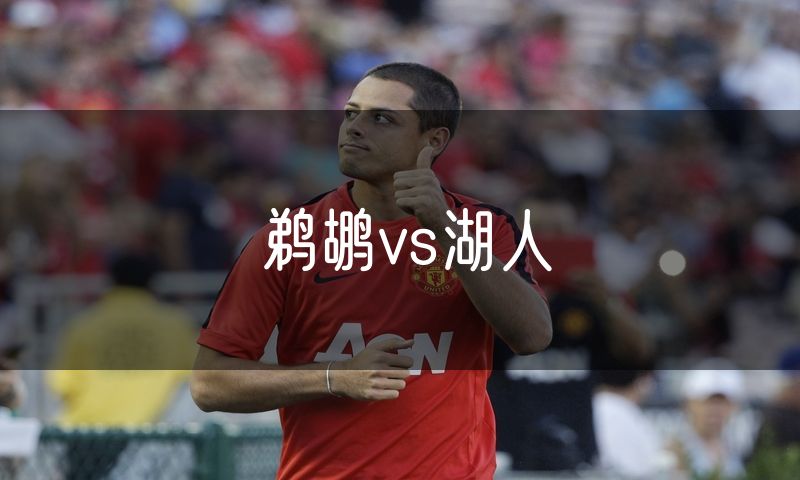 鹈鹕vs湖人
