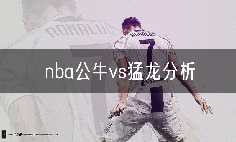 nba公牛vs猛龙分析