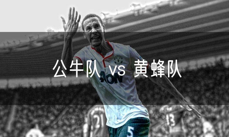 公牛队 vs 黄蜂队 公牛队 vs 黄蜂队