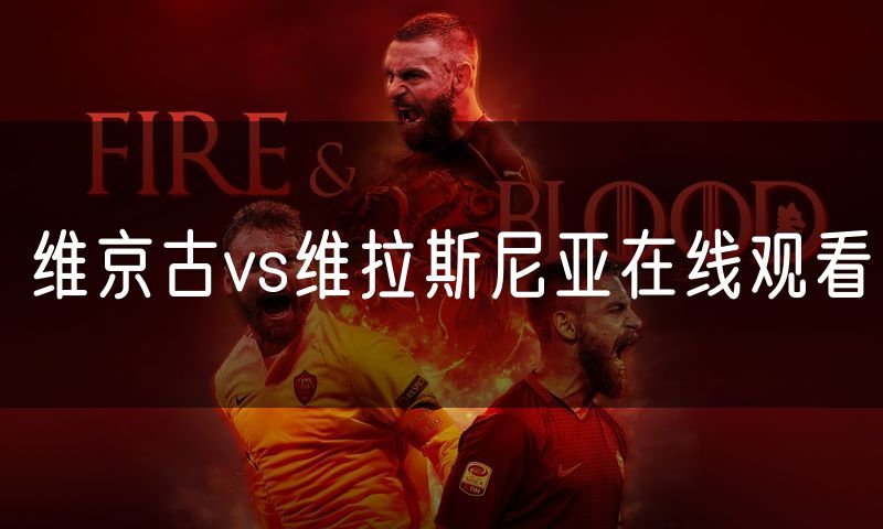 维京古vs维拉斯尼亚在线观看