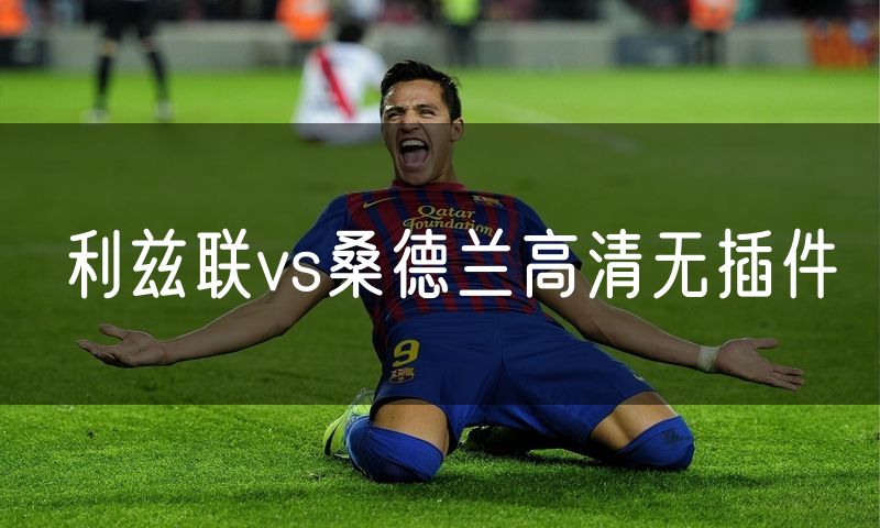 利兹联vs桑德兰高清无插件