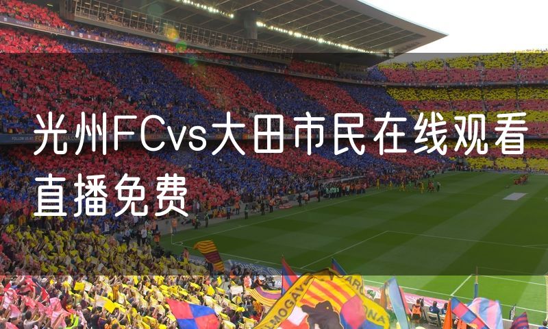 光州FCvs大田市民在线观看直播免费