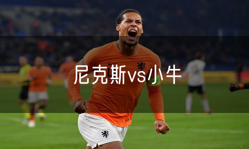 尼克斯vs小牛