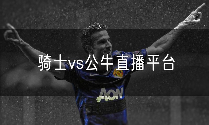 骑士vs公牛直播平台