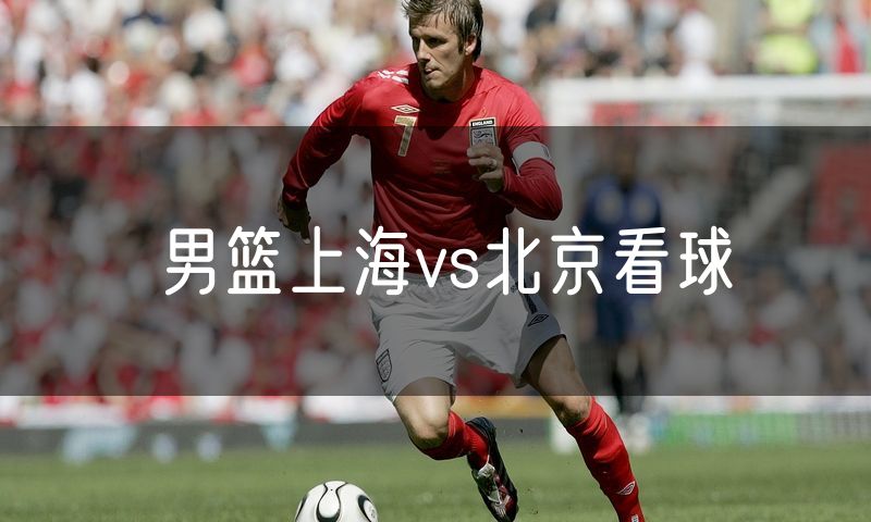 男篮上海vs北京看球