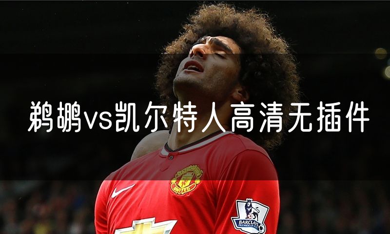 鹈鹕vs凯尔特人高清无插件 鹈鹕vs凯尔特人高清无插件