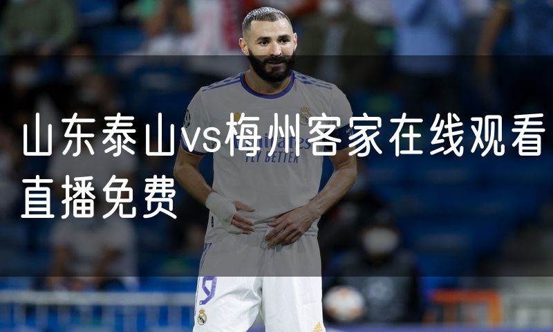 山东泰山vs梅州客家在线观看直播免费