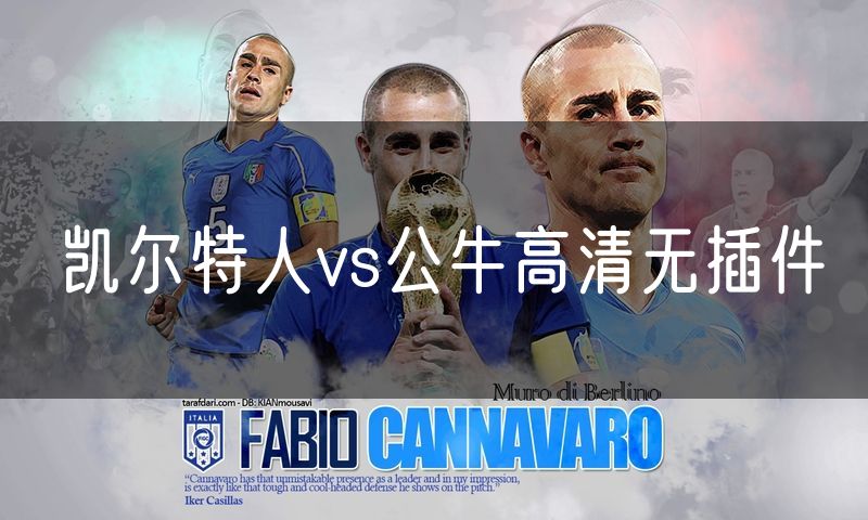 凯尔特人vs公牛高清无插件