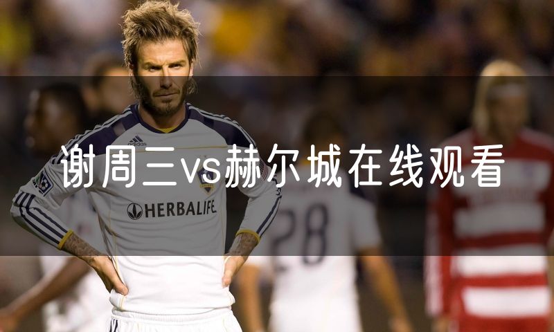 谢周三vs赫尔城在线观看