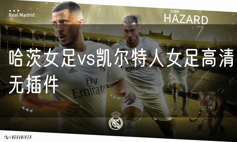 哈茨女足vs凯尔特人女足高清无插件