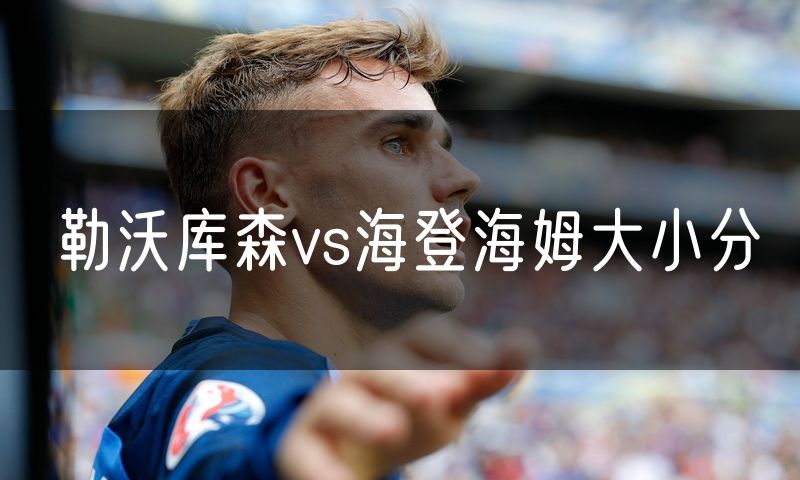 勒沃库森vs海登海姆大小分 勒沃库森vs海登海姆大小分