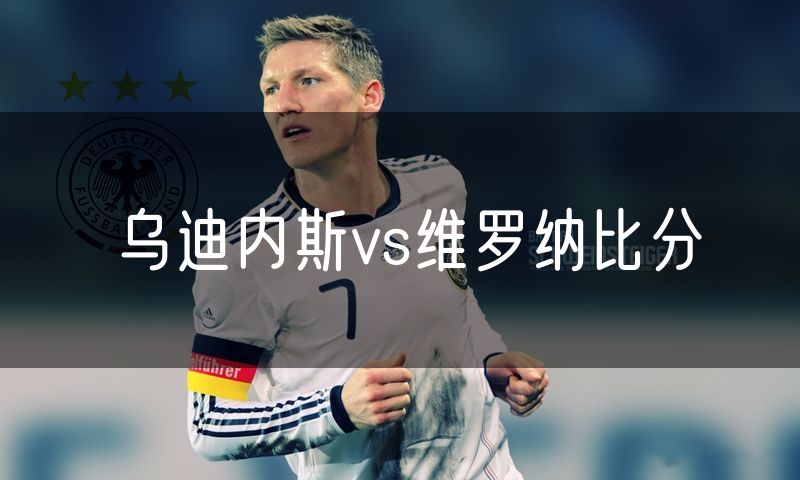 乌迪内斯vs维罗纳比分