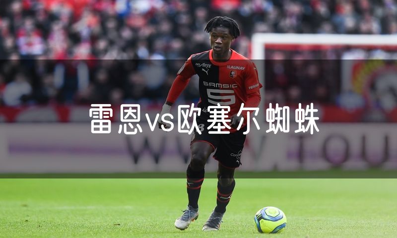 雷恩vs欧塞尔蜘蛛