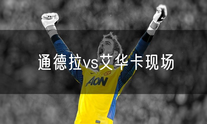 通德拉vs艾华卡现场