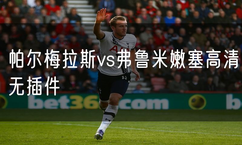 帕尔梅拉斯vs弗鲁米嫩塞高清无插件