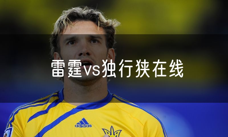 雷霆vs独行狭在线
