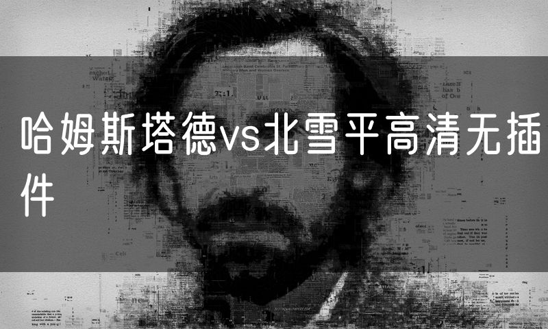 哈姆斯塔德vs北雪平高清无插件