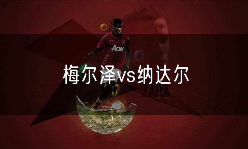 梅尔泽vs纳达尔