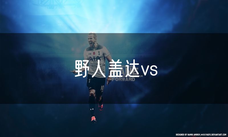 野人盖达vs