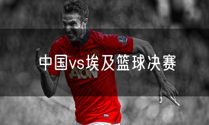 中国vs埃及篮球决赛