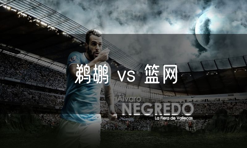 鹈鹕 vs 篮网