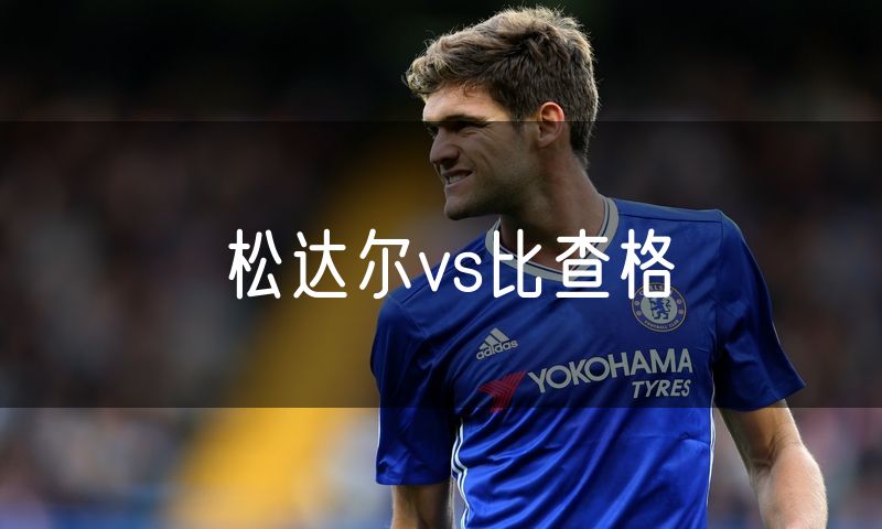 松达尔vs比查格