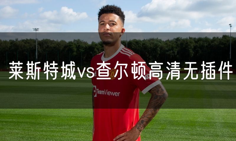 莱斯特城vs查尔顿高清无插件 莱斯特城vs查尔顿高清无插件