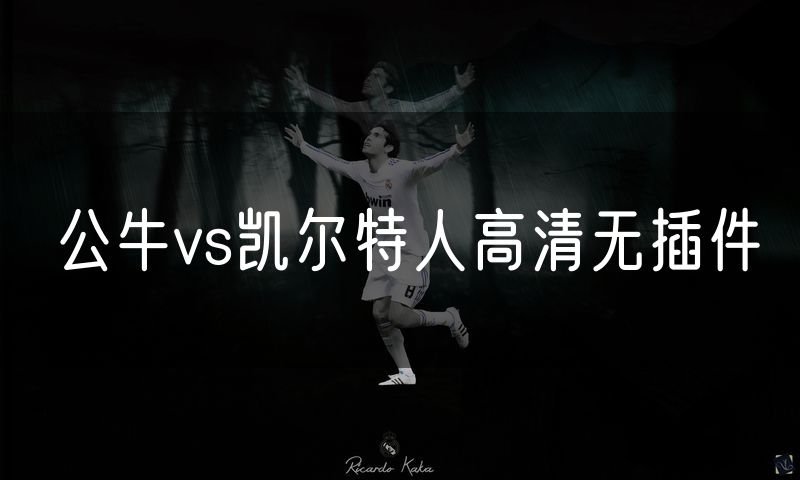 公牛vs凯尔特人高清无插件 公牛vs凯尔特人高清无插件