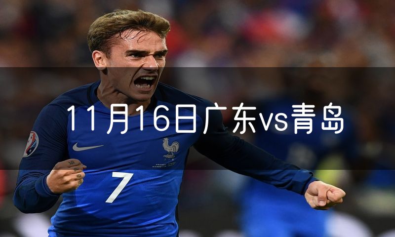11月16日广东vs青岛 11月16日广东vs青岛