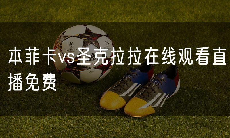 本菲卡vs圣克拉拉在线观看直播免费