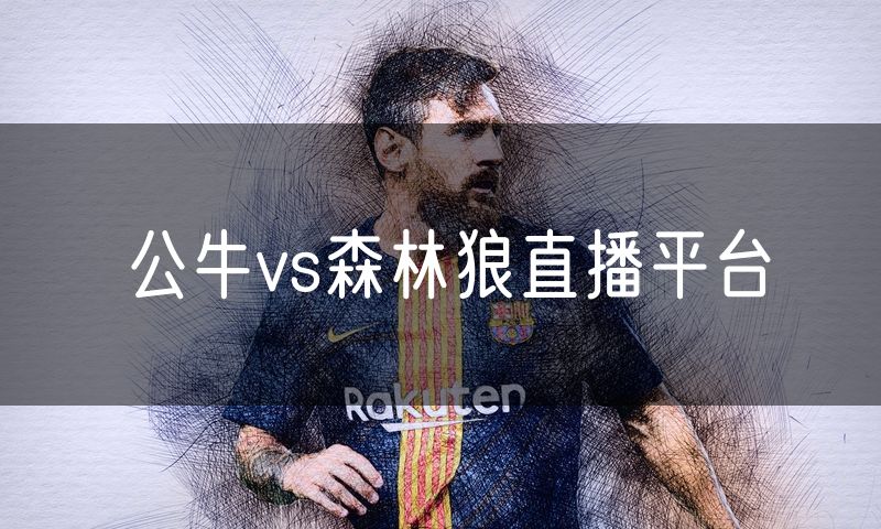 公牛vs森林狼直播平台
