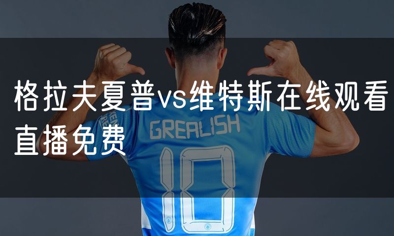 格拉夫夏普vs维特斯在线观看直播免费