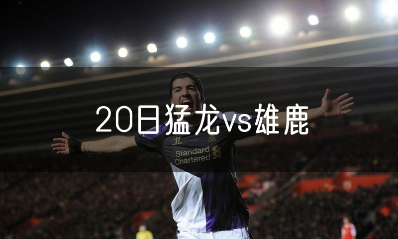 20日猛龙vs雄鹿