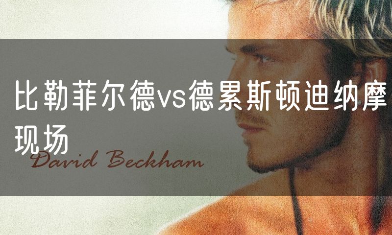 比勒菲尔德vs德累斯顿迪纳摩现场