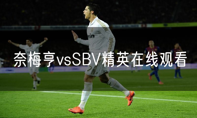 奈梅亨vsSBV精英在线观看