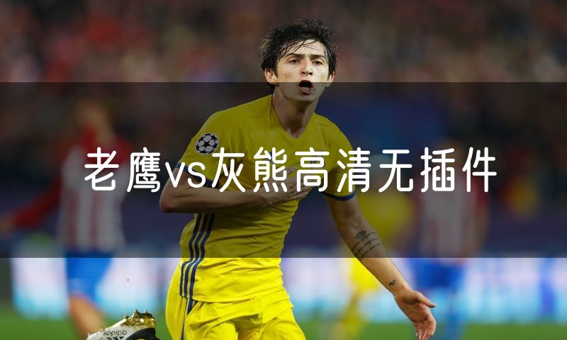 老鹰vs灰熊高清无插件