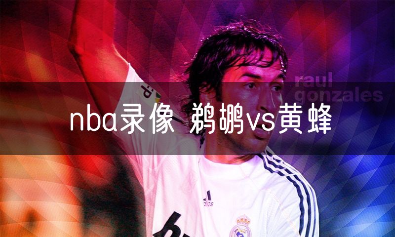 nba录像 鹈鹕vs黄蜂