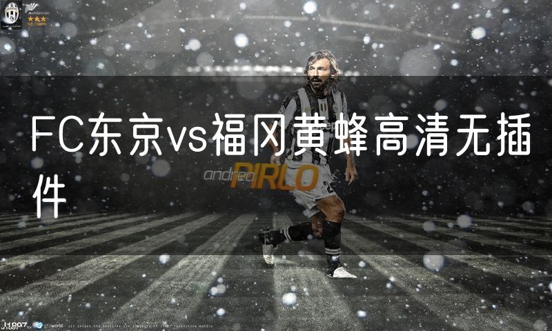 FC东京vs福冈黄蜂高清无插件
