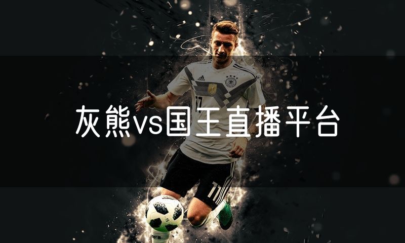灰熊vs国王直播平台