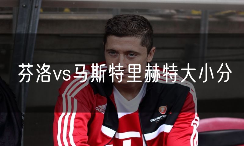 芬洛vs马斯特里赫特大小分
