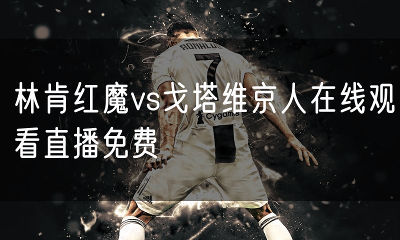 林肯红魔vs戈塔维京人在线观看直播免费