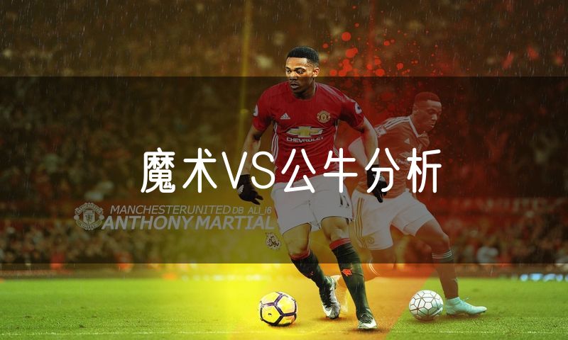 魔术VS公牛分析