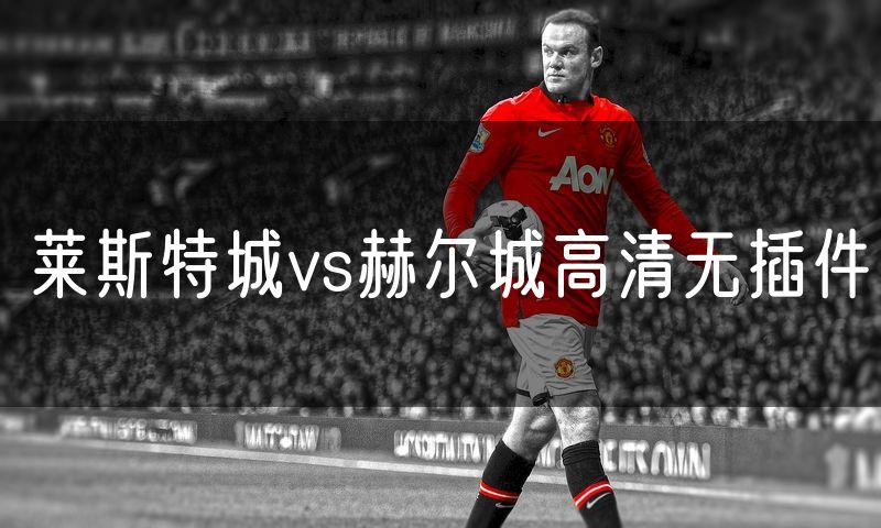 莱斯特城vs赫尔城高清无插件