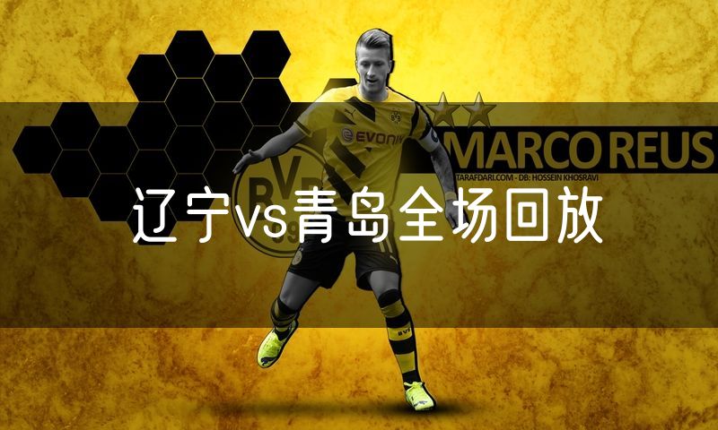 辽宁vs青岛全场回放