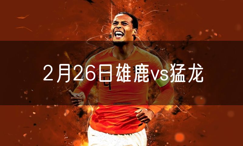 2月26日雄鹿vs猛龙